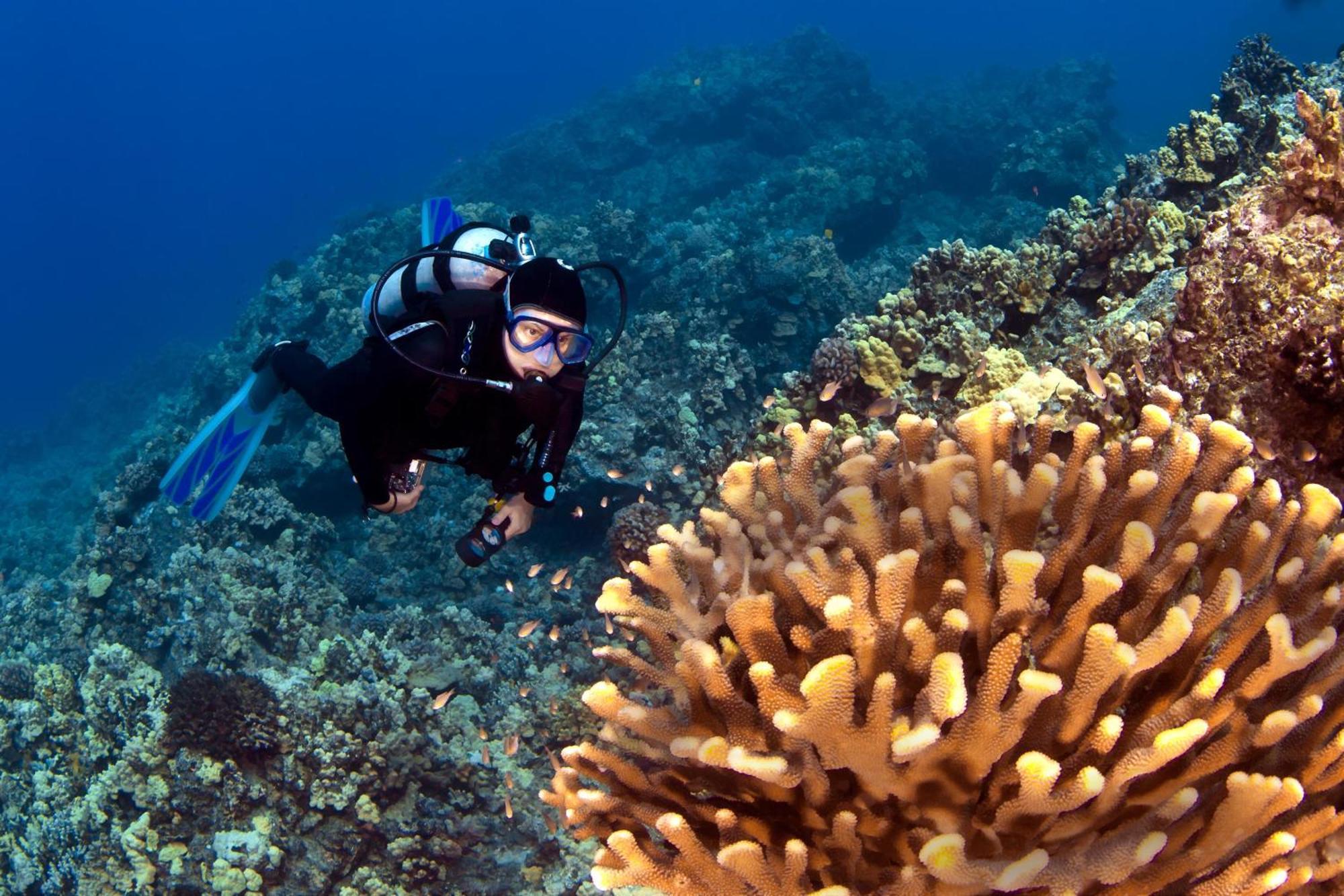 فيلا Wailea Ekolu 1604 كيهي المظهر الخارجي الصورة